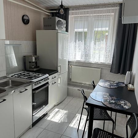 Apartament Sara コウォブジェク エクステリア 写真
